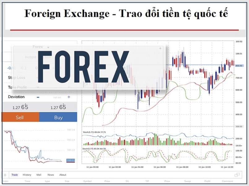 Cơ hội trong thị trường Forex dành cho các Trader